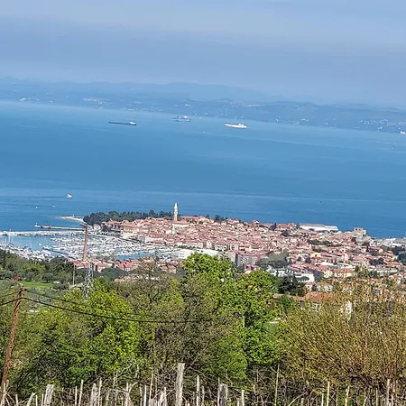 Adriatic View