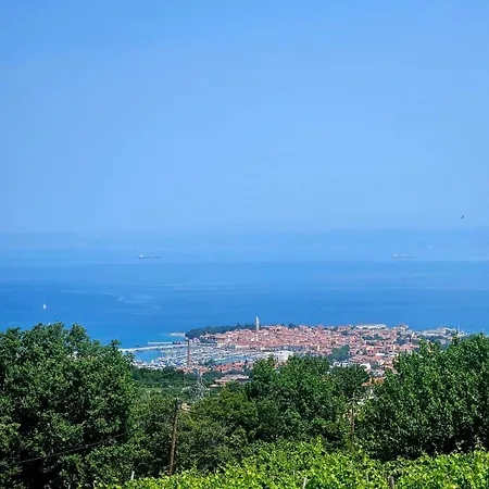 Adriatic View Apartment *